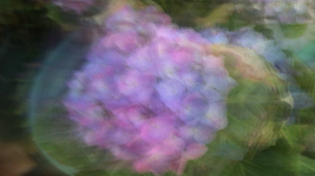 California Spring Impressionism 2014