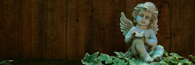 Garden Cherub Panorama 2014