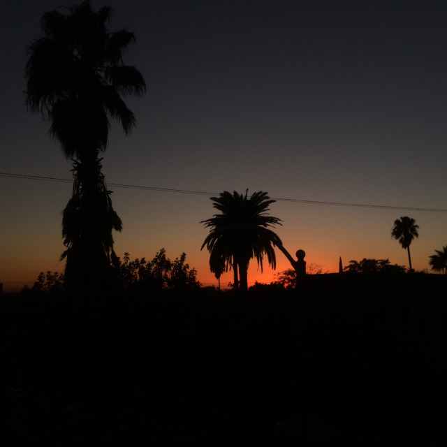 Another Tequila Sunset.  Silver Lake Los Angeles 2016