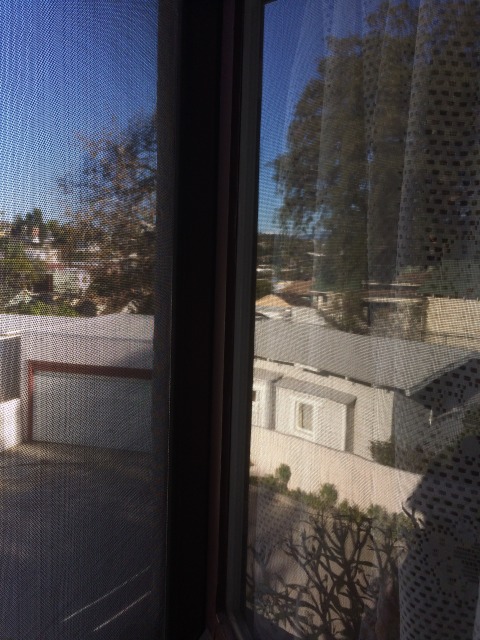 1920s Garages.  Silver Lake 2016